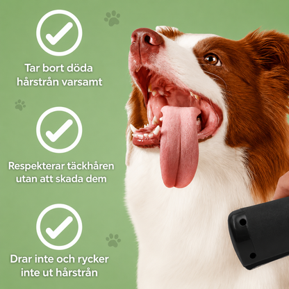 HappyCoat™ – Hundborste som stoppar fällning och håller hemmet rent