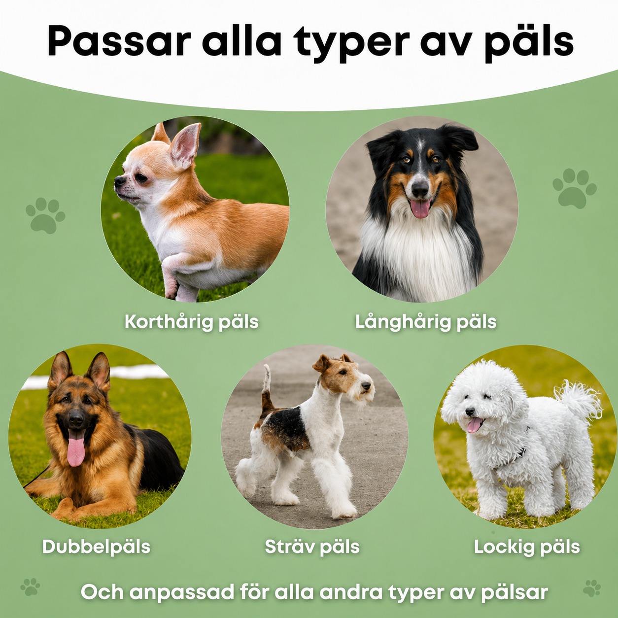 HappyCoat™ – Hundborste som stoppar fällning och håller hemmet rent