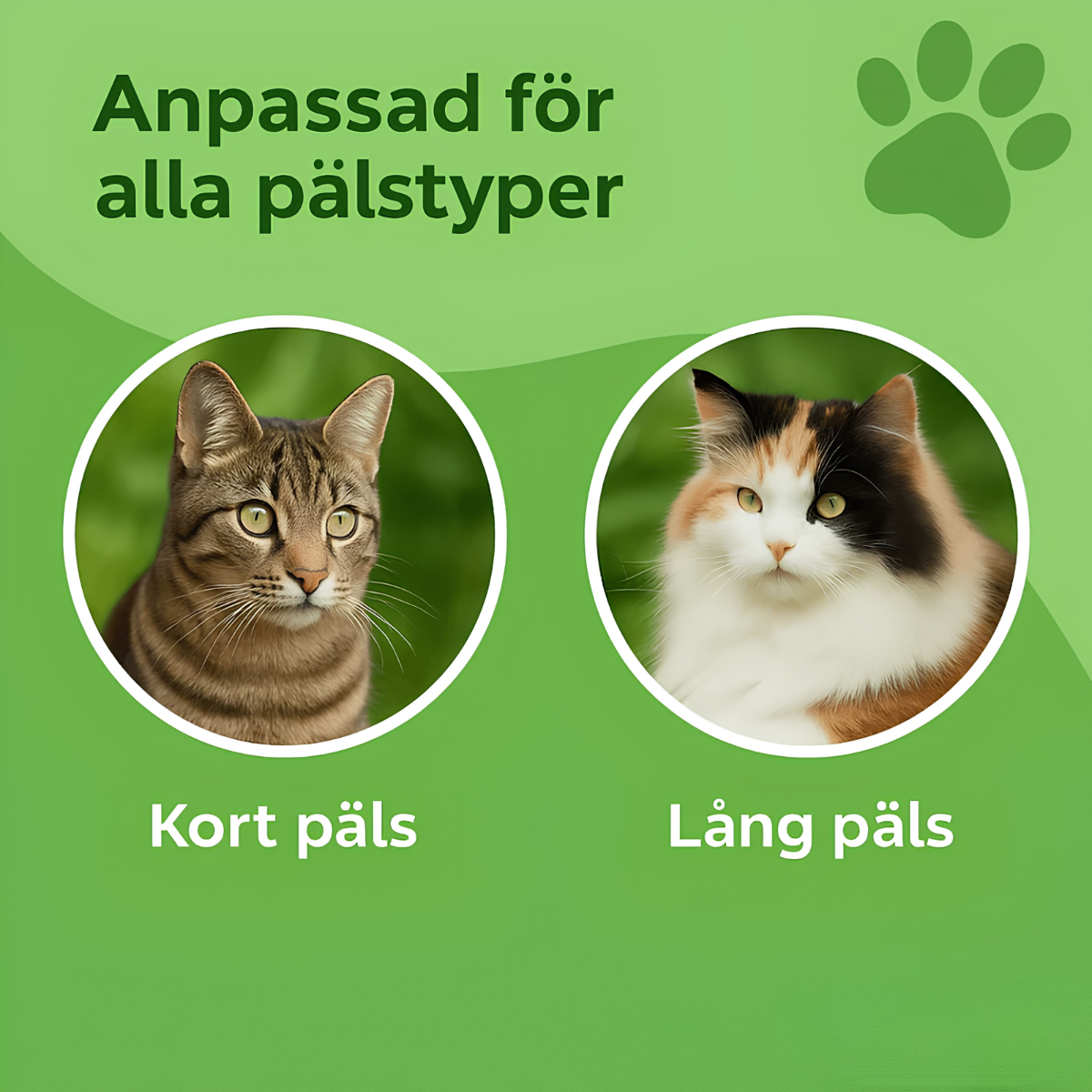 FurLess™ – Kattborsten som stoppar fällning och håller hemmet rent