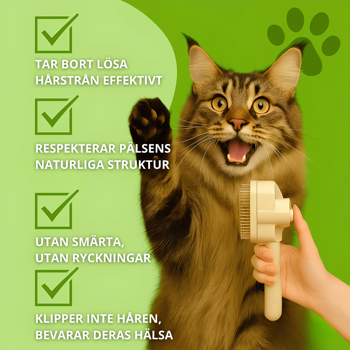 FurLess™ – Kattborsten som stoppar fällning och håller hemmet rent