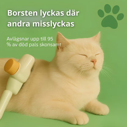 FurLess™ – Kattborsten som stoppar fällning och håller hemmet rent